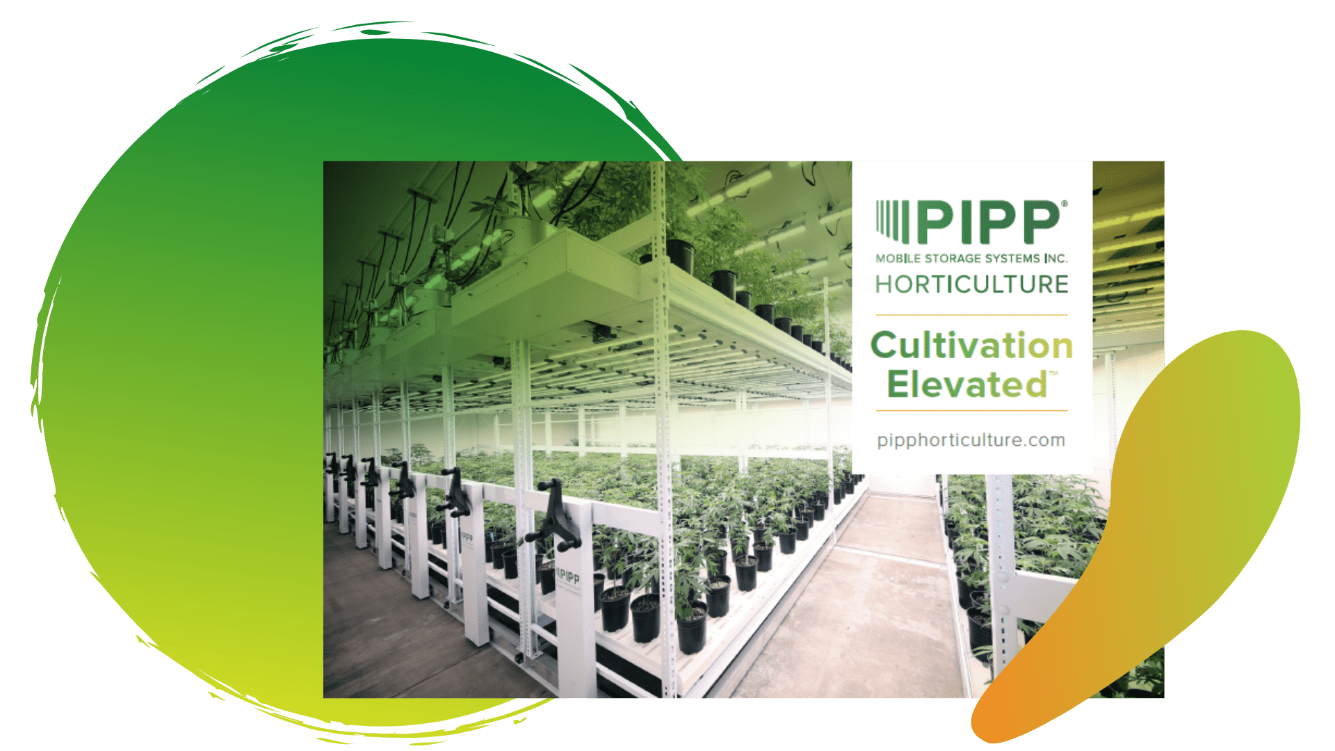 Bountiful FarmsCase Study